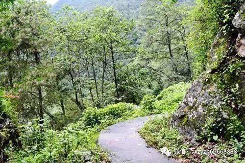 求职、创业、就业培训……这些事温暖了我们整个2023年