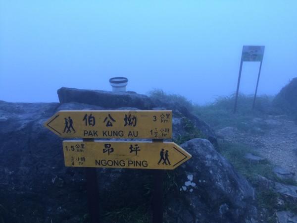 青蛙跳一跳