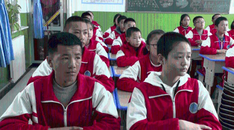 海边遇到千万别碰!已有多人受伤!官方回应